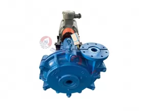 China ZJ  Slurry Pump, Coal Washery Slurry Pump